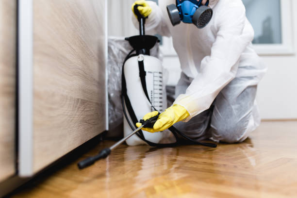Best Termite Control Services  in Ridley Rk, PA