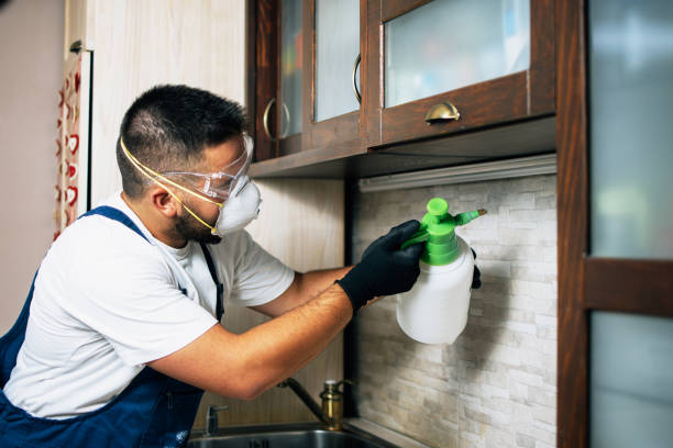 Wasp Removal Services in Ridley Park, PA