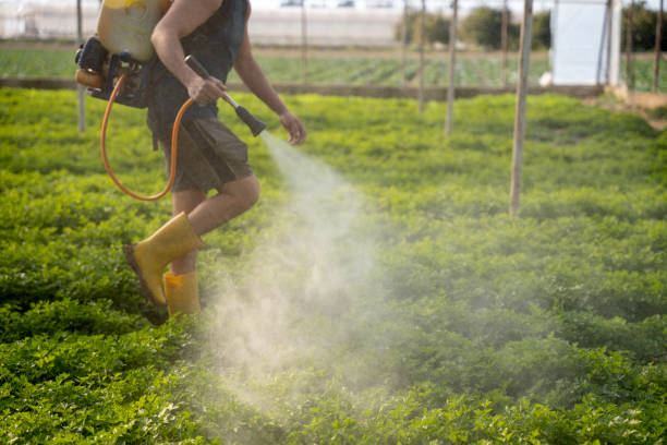 Best Pest Removal Services  in Ridley Rk, PA