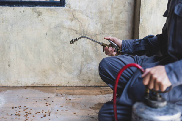 Best Wasp Removal Services  in Ridley Rk, PA
