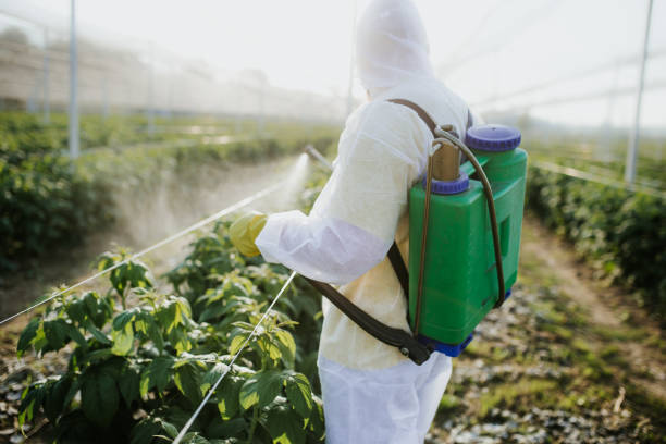 Flea Control Services in Ridley Park, PA
